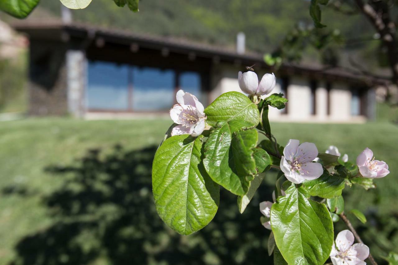 Cal Sadurni Villa Bruguera Bagian luar foto